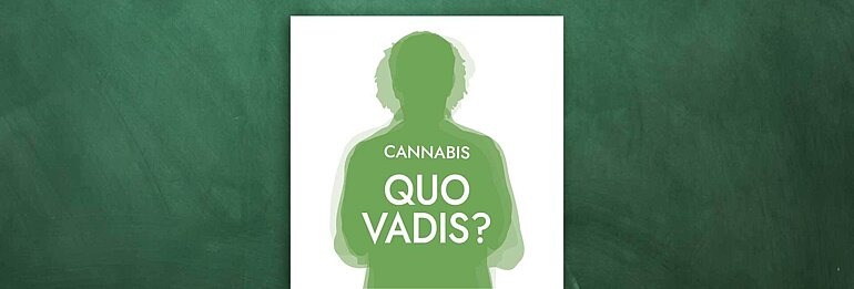 Eine Grafik für das Informationsangebot Quo Vadis