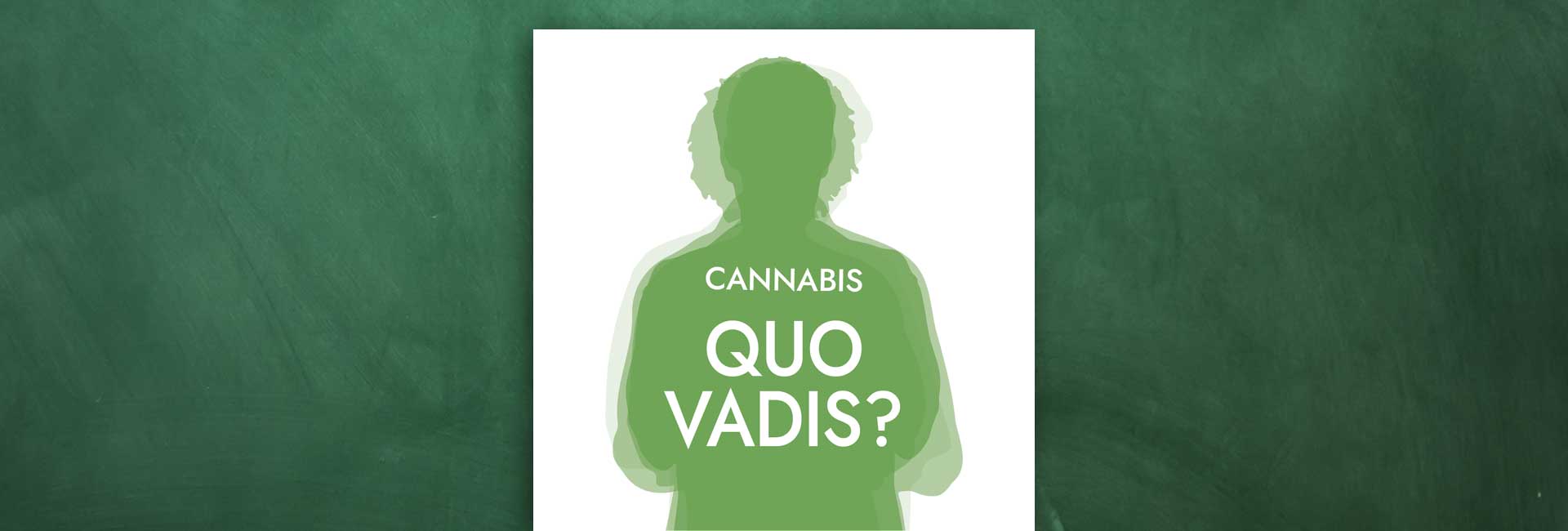 Eine Grafik für das Informationsangebot Quo Vadis