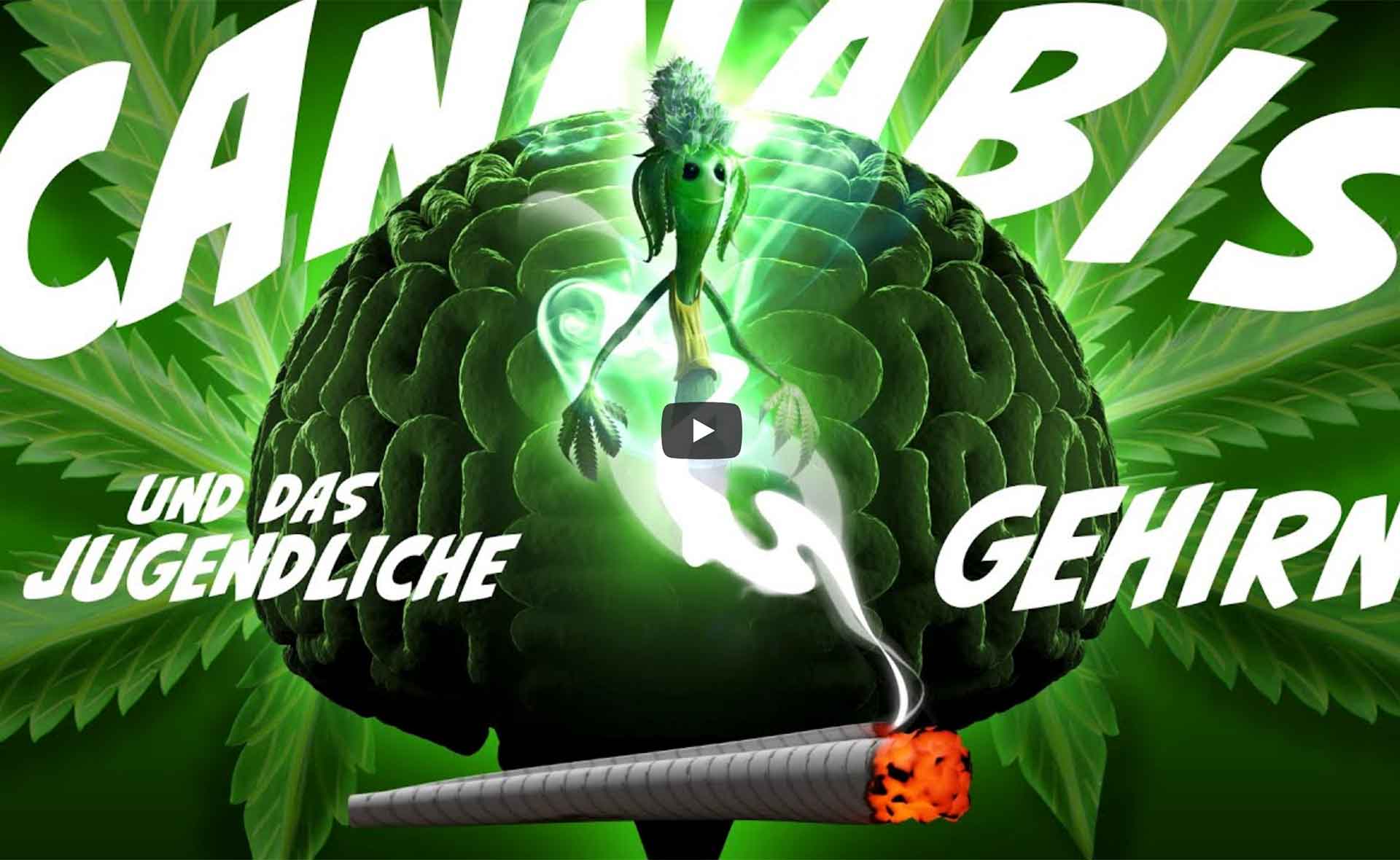 Titelbild des YouTube-Videos Cannabis und das jugendliche Gehirn